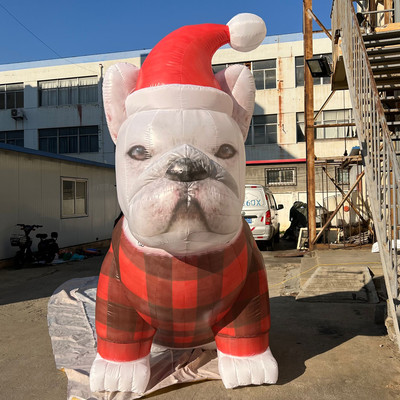 Bulldog 02