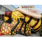 Bee 49