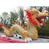 Dragon 06