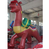 Camel 14