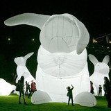 Rabbit 11