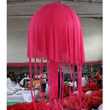 Jellyfish 15