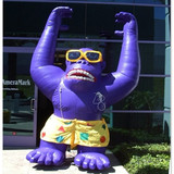 Gorilla 14