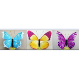 Butterfly 18