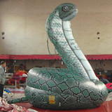 Cobra 07