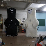 Bear 22