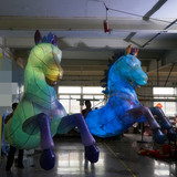 Hose Costume 08