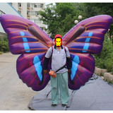 Butterfly 12
