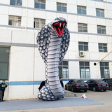 Cobra 03