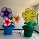 Ground Flower 02