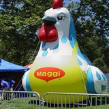 Chicken 12