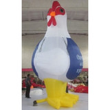Rooster 06