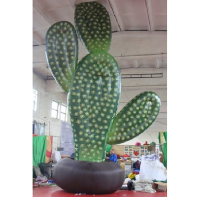 Cactus 04