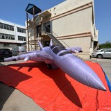 Fighter Aircraft 01