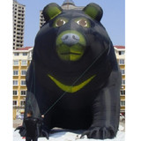 Bear 19