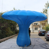 Mushroom 15
