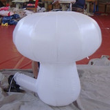 Mushroom 19