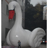 Goose 16