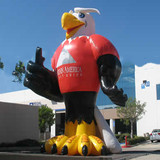 Eagle 13