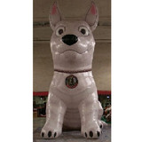 Dog 12