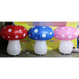 Mushroom 05