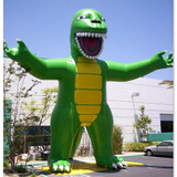 Dragon 07