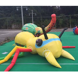 Ant 61