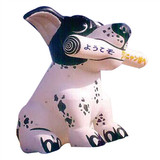 Dog 17