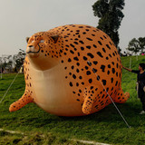 Leopard 02