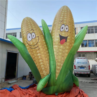 Corn 29