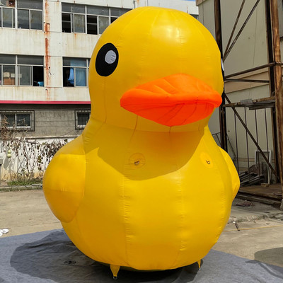 Duck 05