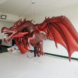 Dragon 03