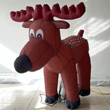 Deer 19