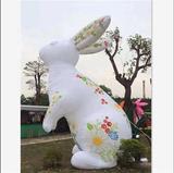Rabbit 15
