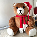 Bear 25