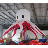 Hanging Octopus 218