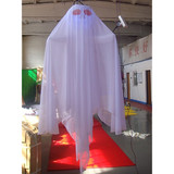 Ghost 14