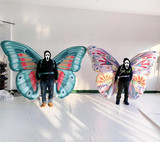 Butterfly 13