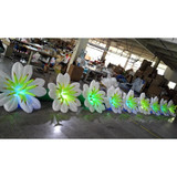 Flower Rope 14