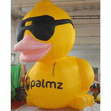 Duck 09