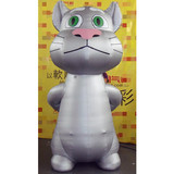 Cat 25