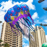 Jellyfish 03