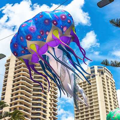 Jellyfish 03