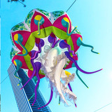 Jellyfish 04