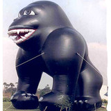 Gorilla 08