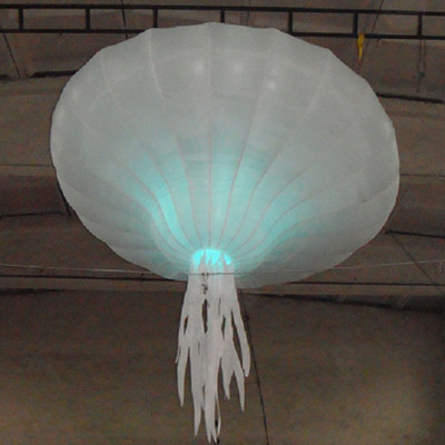 Jellyfish 06