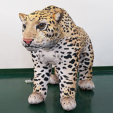 Leopard 05