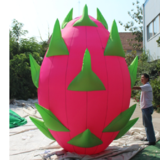Dragon Fruit 01