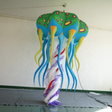 Jellyfish 13