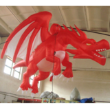 Dragon 13